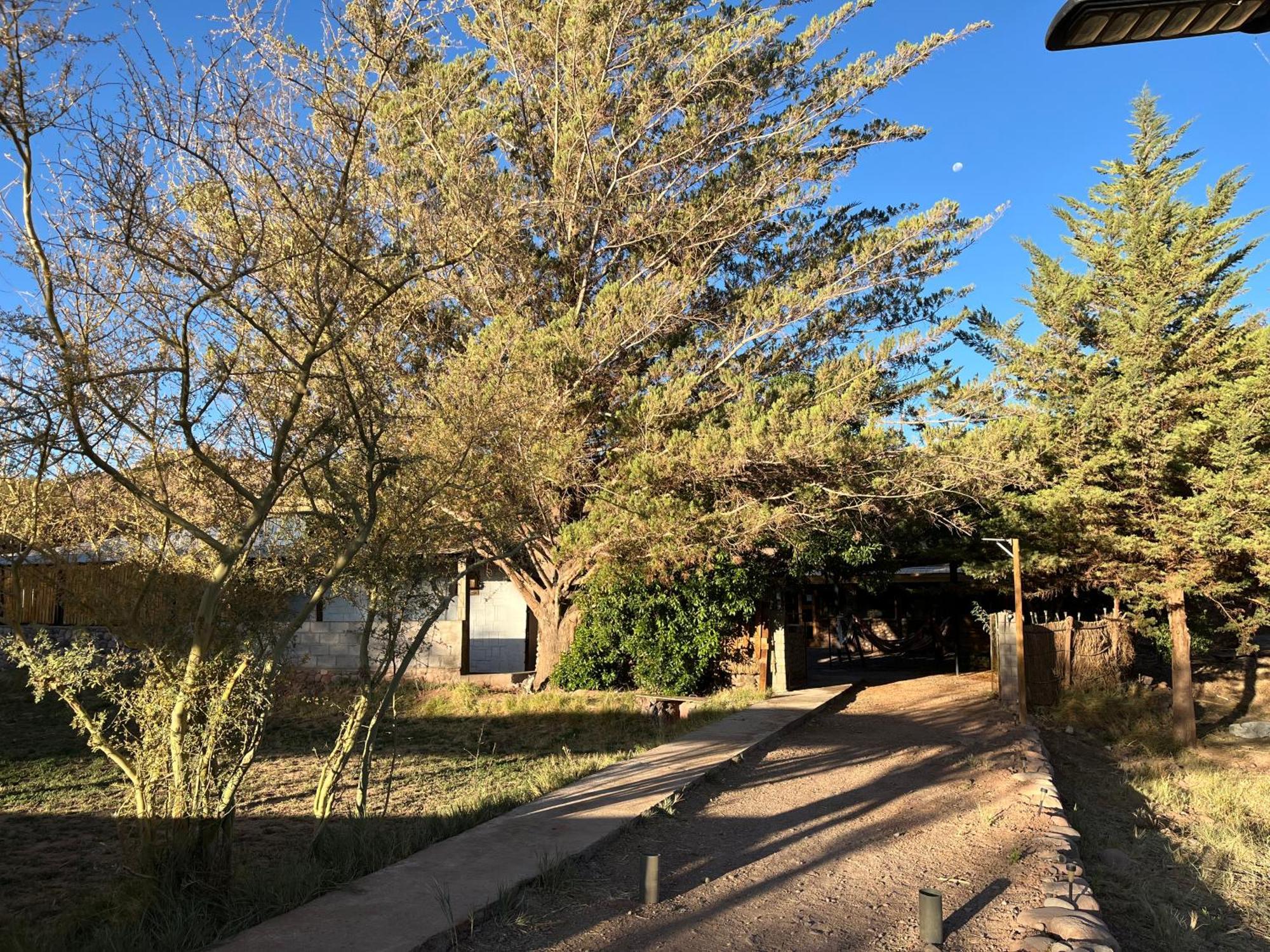 Hostal Piedrita De Rio San Pedro De Atacama Zewnętrze zdjęcie